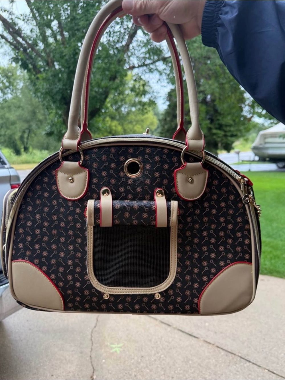 Luxury Pet Carrier Handbag